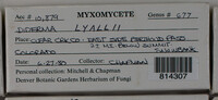 Image Associated With the Occurence